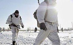 Минобороны взялось за формирование арктических бригад