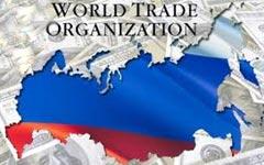 Россия в ВТО: без сельского хозяйства, но с банками