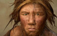 Один из последних неандертальцев (фото national geographic)