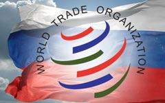 Москва инициировала всенародный референдум о вступлении в ВТО
