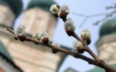 До светлого праздника Великой Пасхи осталась неделя