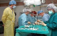 Трансплантация без мифов и тайн. Фото с сайта vladmedicina.ru