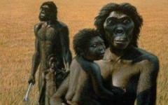 Australopithecus Sediba. Изображение с сайта radiofreethinker.com