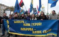 Украинские демонстранты. Фото с сайта otechestvo.org.ua