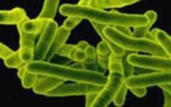 Фото с сайта citydoctor.ru