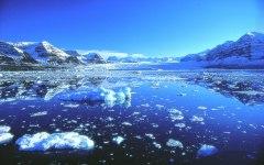 Фото с сайта igreenhero.com