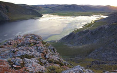 Фото с сайта sott.net