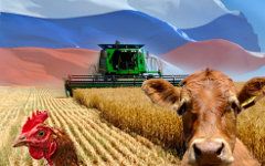Коллаж © KM.RU