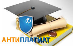 Коллаж © KM.RU