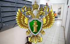 Коллаж © KM.RU