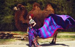 SHOO. Фото предоставлено организаторами фестиваля