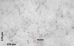 Фото с сайта fian-inform.ru
