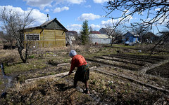 © РИА Новости, Константин Чалабов