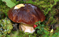 Фото пользователя Flickr E.Kopyszew