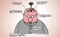 Карикатура Сергея Елкина