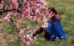 Фото пользователя Flickr mrhayata