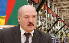 Александр Лукашенко. Коллаж © KM.RU