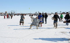 Фото Pamir235 с сайта wikimedia.org