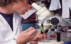 Фото с сайта doctorpiter.ru