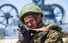 Фото с сайта mil.ru