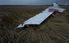 На месте крушения малайзийского Boeing 777 © РИА Новости, Михаил Воскресенский