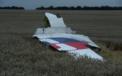 Обломки малайзийского «Боинга» © РИА Новости, Михаил Воскресенский