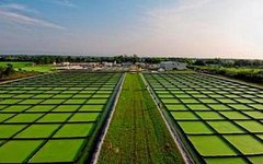 Площади под выращивание водорослей для биодизеля. Фото с сайта nrcki.ru