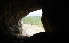 Фото Андрей Кривошапкин с сайта nsu.ru