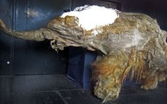 Фото Cyclonaut с сайта wikimedia.org