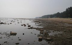 Отлив в Финском заливе (Комарово). Фото GBTA с сайта wikimedia.org