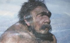 Неандерталец из Мустье, анатом Сольгер, 1910 год. Фото с сайта wikimedia.org