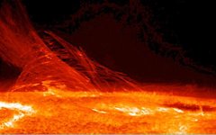 Изображение поверхности и короны Солнца. Фото с сайта wikimedia.org
