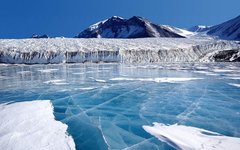 Фото Joe Mastroianni с сайта wikimedia.org