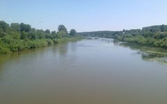 Река Иня. Фото Rufus Total с сайта wikimedia.org
