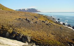 Архипелаг Земля Франца-Иосифа. Фото Wofratz с сайта wikimedia.org