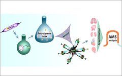 Изображение с сайта nsu.ru