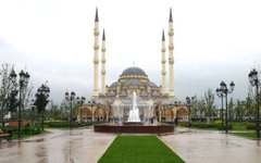 Фото André Widmer Maiakinfo с сайта wikimedia.org