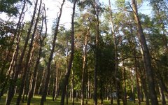 Фото с сайта mprkk.ru