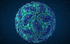 Стоп-кадр из видео в Vimeo