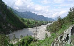 Фото Doogal с сайта wikimedia.org
