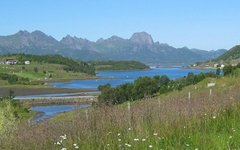 Фото Olavfin с сайта wikimedia.org