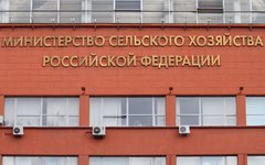 Здание Минсельхоза © KM.RU, Илья Шабардин