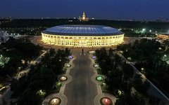 Москва, Лужники. Фото с сайта mos.ru