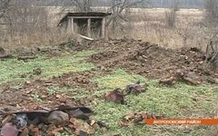 Стоп-кадр с видом заброшенного села