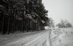 © KM.RU, Алексей Белкин