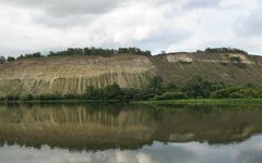 Фото с сайта tsu.ru