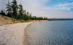 Фото Doron с сайта wikimedia.org