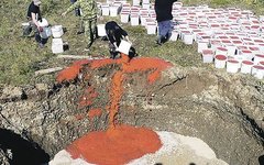 Утилизация красной икры. Фото МВД России по Камчатскому краю с kp.ru