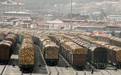 Вывоз леса в Китай