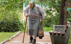 Пенсионерка © KM.RU, Илья Шабардин